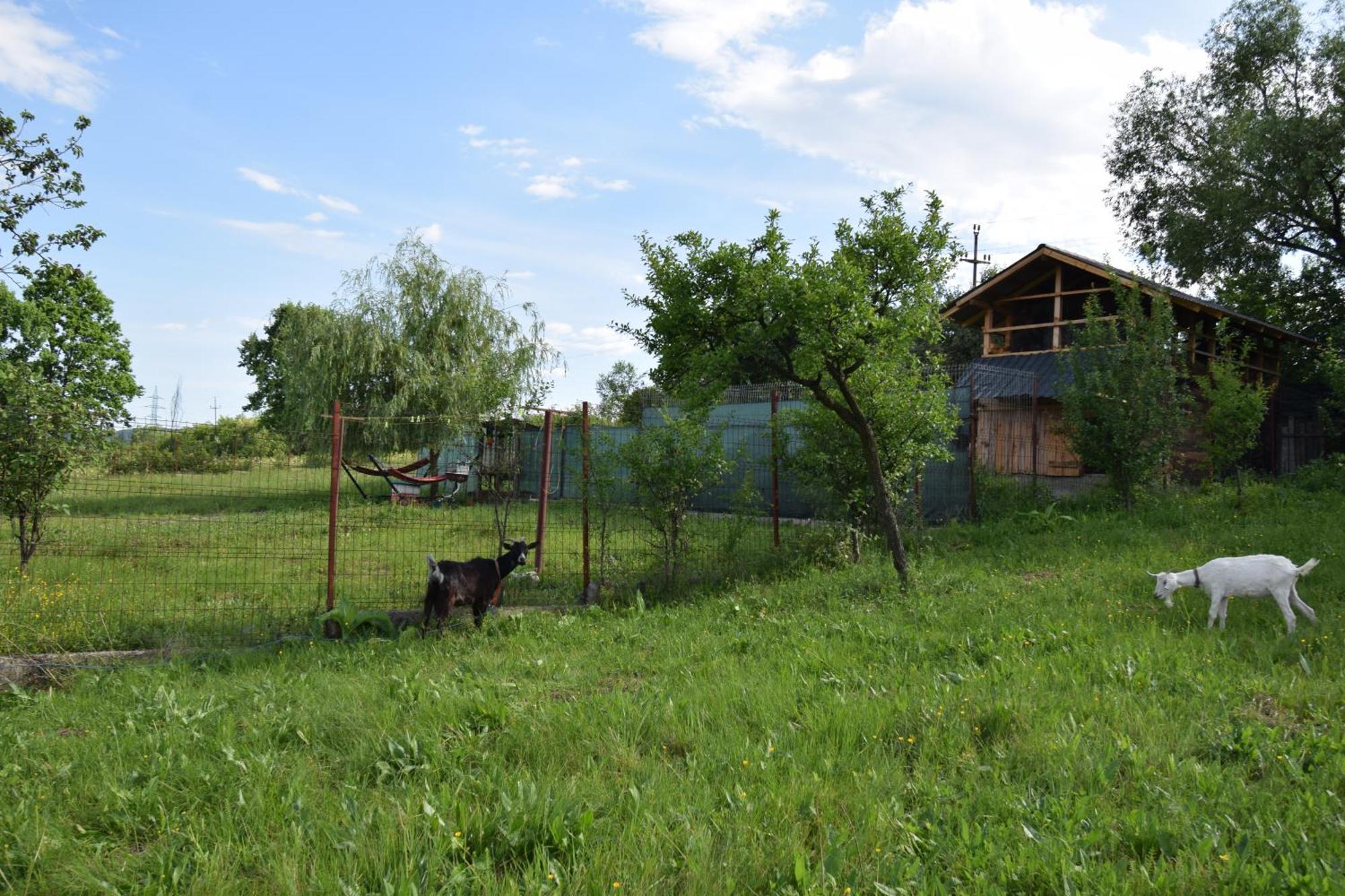 La Radacini Appartement Horezu Buitenkant foto